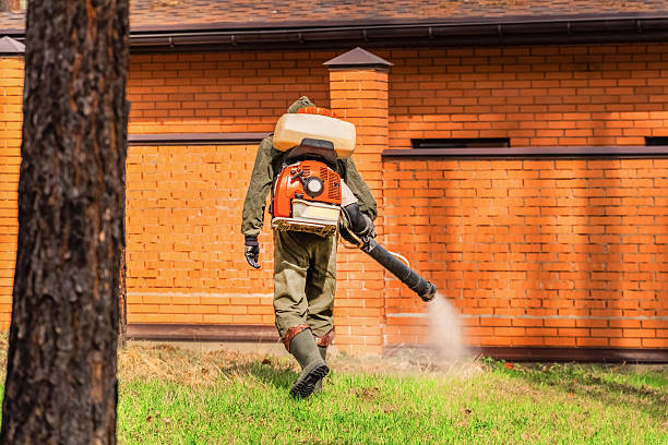 Bed Bug Clearance Verification and Documentation in McEwen